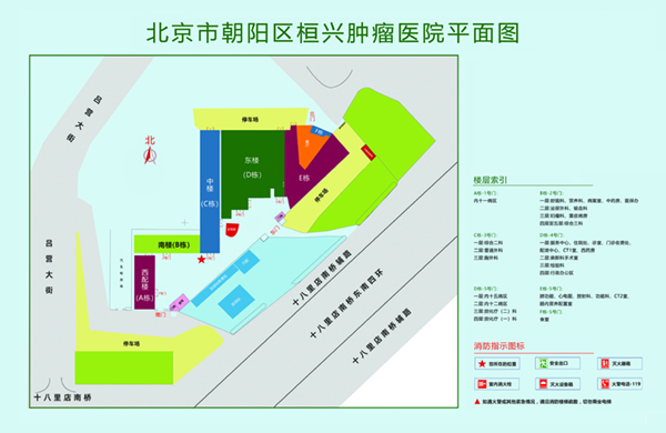 男人插女人逼逼视频北京市朝阳区桓兴肿瘤医院平面图